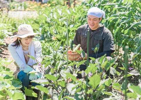 生産販売の販促ツール|販促クリエイト.jp(小川印刷運営)
