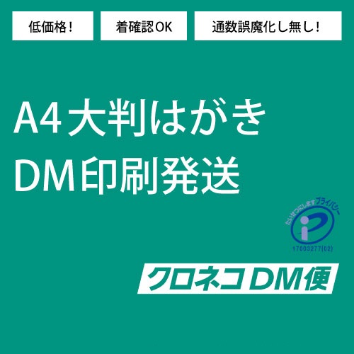 DM印刷発送