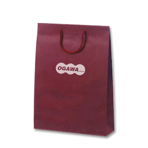 カラークラフト セミオーダー紙袋 B4縦サイズ（シルク印刷）