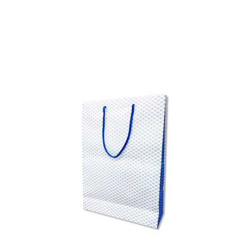 フルオーダー紙袋 B5サイズ（オフセット印刷）