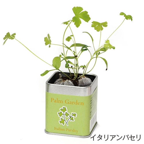 商品説明06