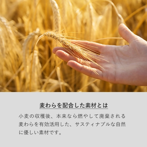 商品説明01