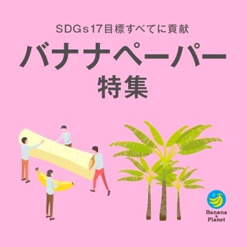 バナナペーパー特集