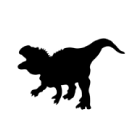 AR撮影