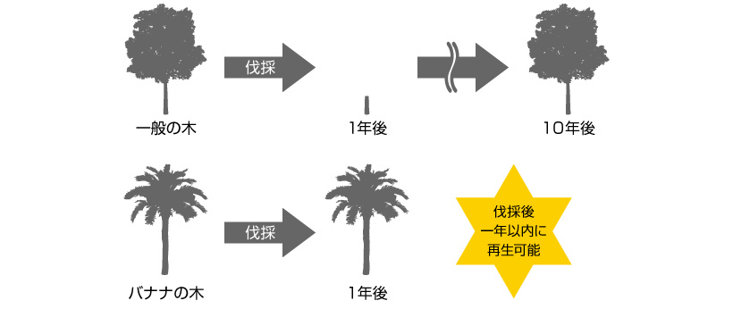 持続可能な仕組み