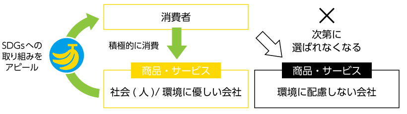 バナナペーパーはSDGs17目標すべてに貢献します