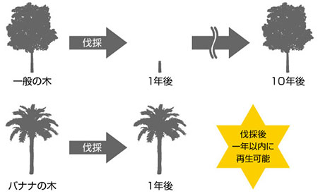 バナナペーパーの作り方