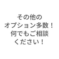 その他オプション多数